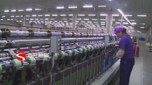 创新驱动，绿色赋能 苏丝股份新产品与碳酸钙技术研发喜获殊荣