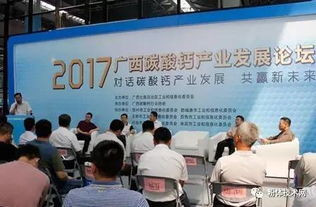 广西碳酸钙产业发展论坛在南宁举行 技术研发引领绿色转型与高值化应用